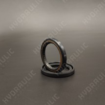 28,56*39*4,8 NS01W NBR [BAHD]